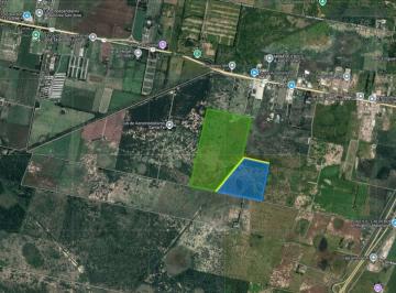 Campo · 88ha · Venta de 88 Ha a 500 m de La Ruta 19