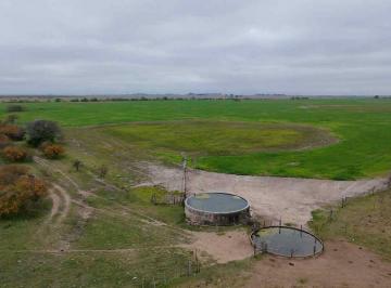 Campo · 323ha · Venta Campo 323 Has Mixtas Entre Nelson y Llambi