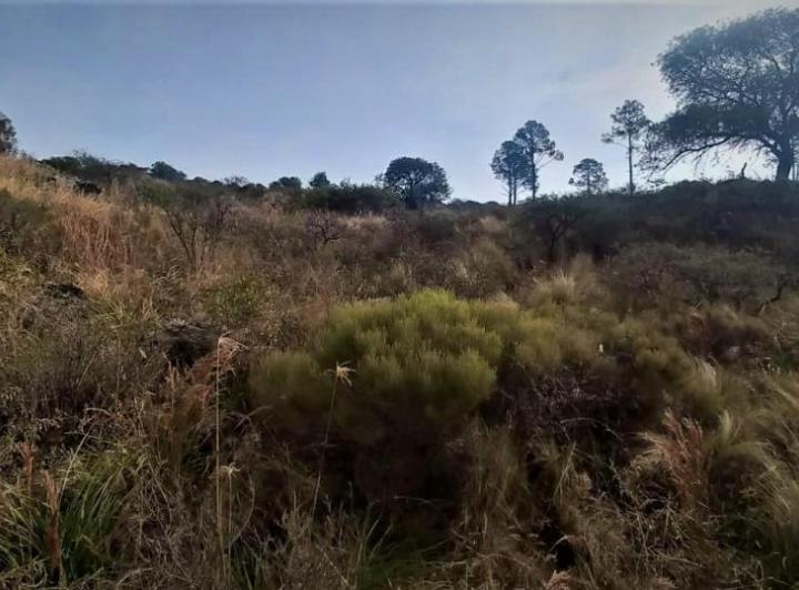 Terreno · 3000m²
