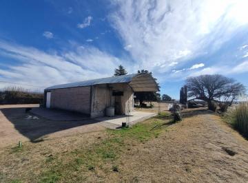 Campo · 350m² · 7 Ambientes · Venta Finca en Funcionamiento en Primera Zona Vitivinícola con Pozo de Agua