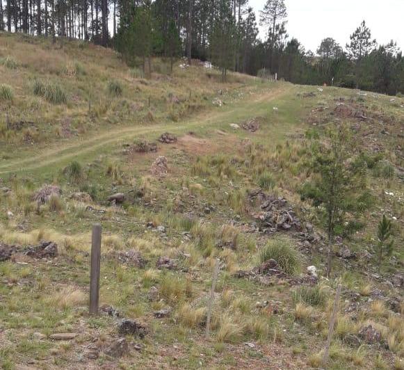 Terreno · 1ha