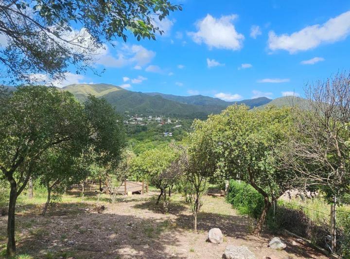 Terreno · 1779m²