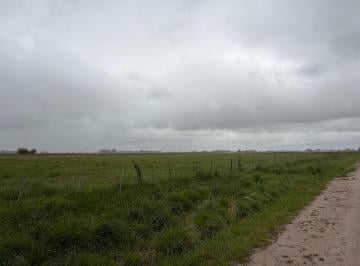 Campo · 50ha · 1 Ambiente · Campo - General Madariaga