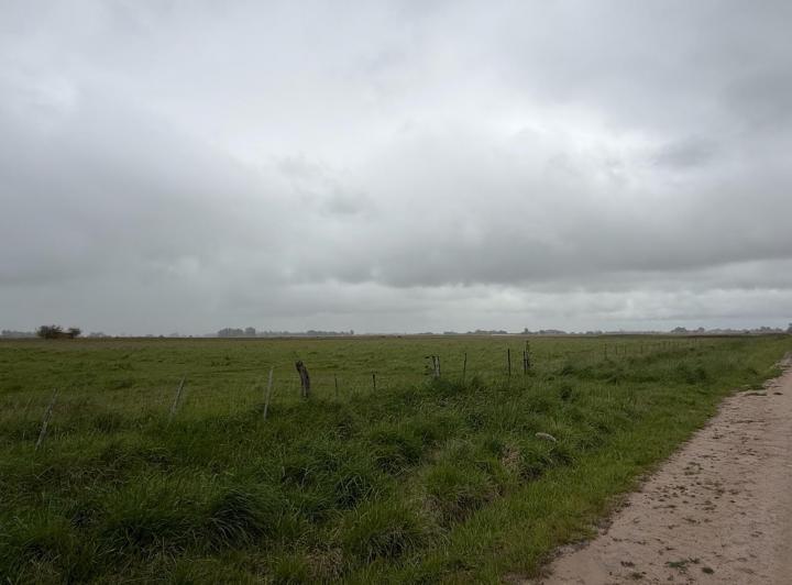 Campo · 50ha · 1 Ambiente