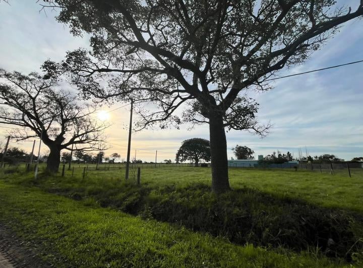 Terreno · 809m²