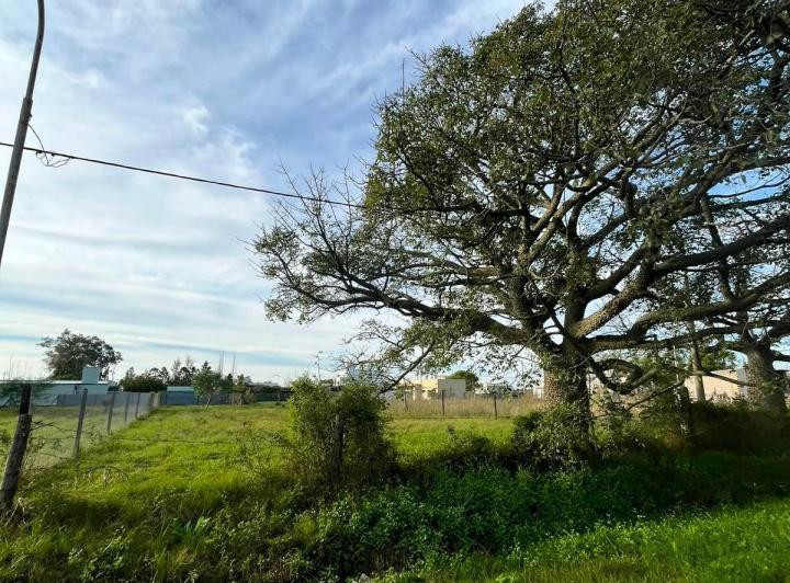 Terreno · 809m²