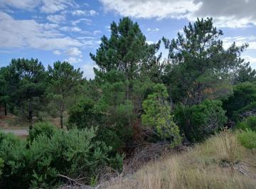 Terreno · 8076m² · Lote en Venta 8076 m² Bahia de Los Moros Loberia