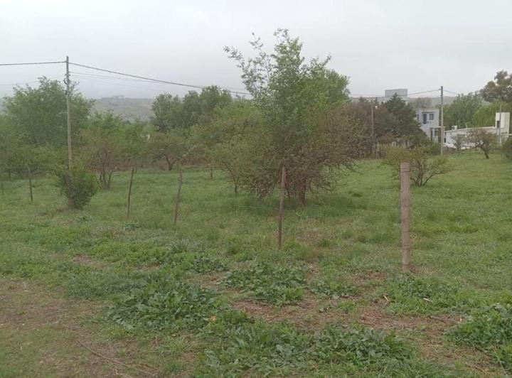 Terreno · 1000m²