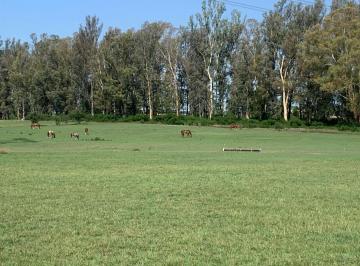Terreno · 6042m² · Venta Lote, Chacras de Cruz, Exaltación
