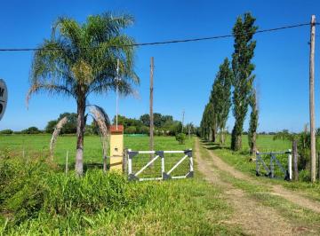 Campo · 57616ha · Venta de Campo Ruta 2, Km 22, 5,6 Ha