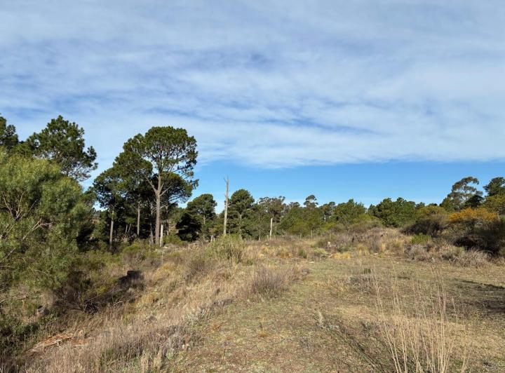 Terreno · 9212m²