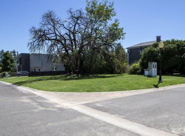 Terreno · 600m² · Lote de 600 m² Forestado con Escritura Apto Crédito