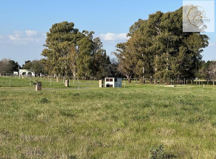 Terreno · 2500m²