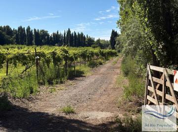 Campo · 69000ha · Terreno en Vista Alegre Sur