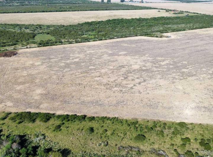 Campo · 900000m²