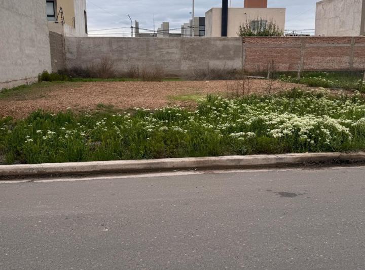 Terreno · 300m²