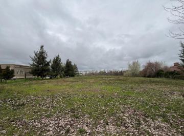 Terreno · 5001m² · Lote 5000 m² en Venta en Haras El Malacate