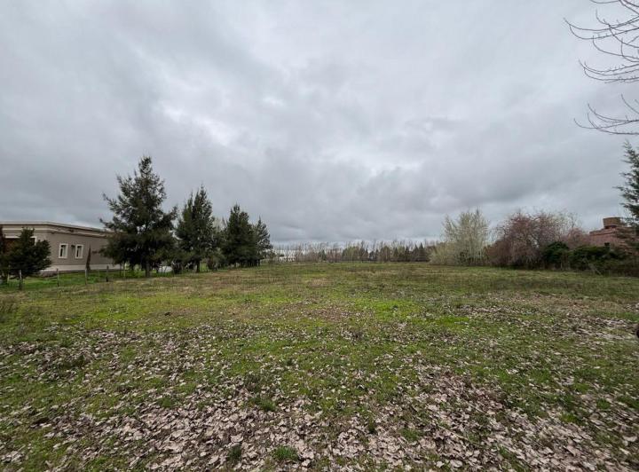 Terreno · 5001m²