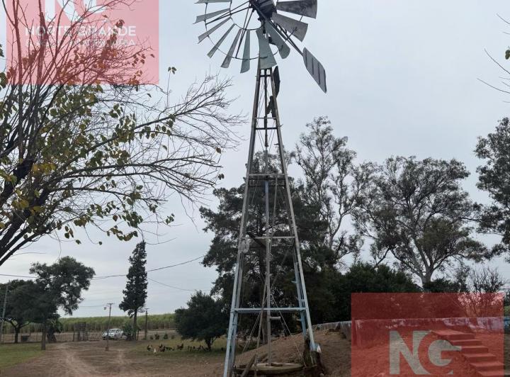 Campo · 350m²