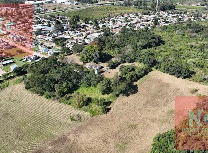 Campo · 38242m²