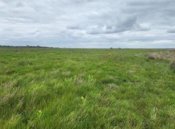 Campo , General Lavalle · Alquiler: Excelente Campo Ganadero| 331 Ha| General Lavalle | Agua Asegurada y Excelentes Pasturas