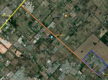 Campo · 49ha · Campo en Venta. Los Hornos