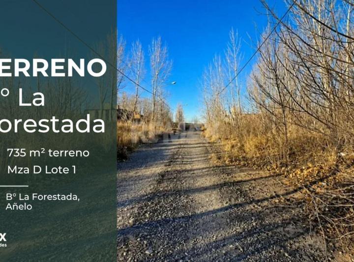 Terreno · 735m²