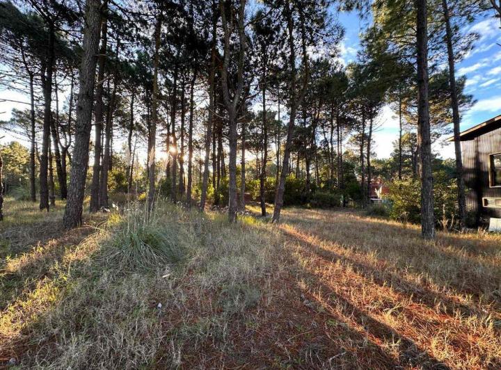 Terreno · 957m²