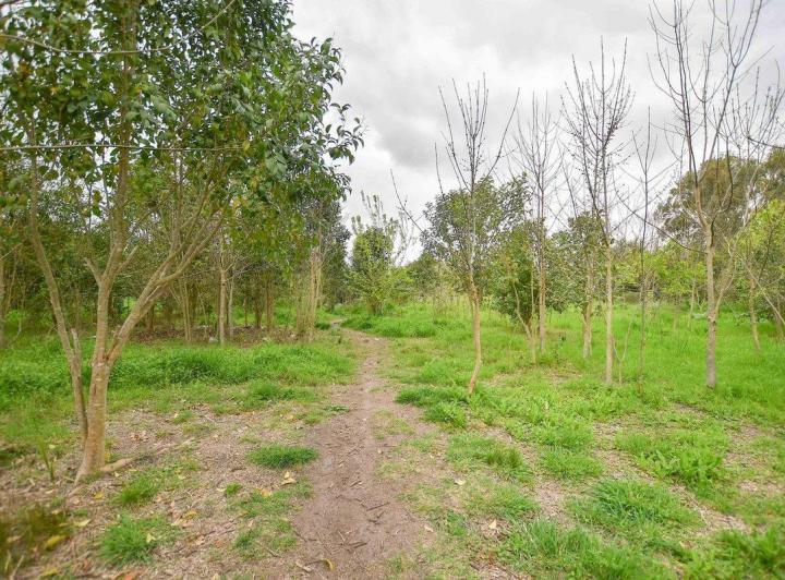 Terreno · 456m²