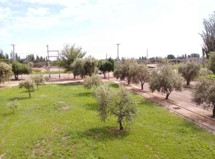Terreno · 1600m²
