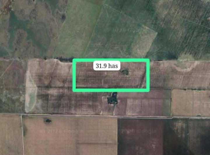 Campo · 31ha
