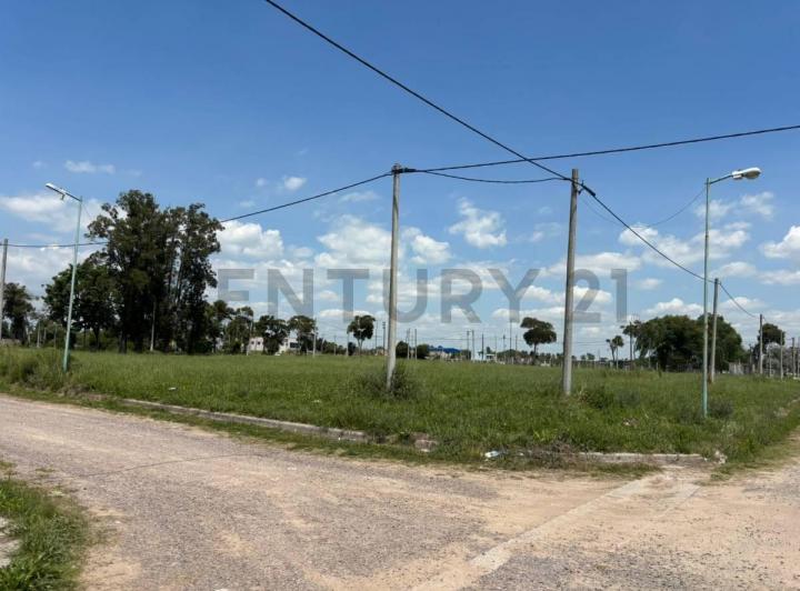 Terreno · 335m²