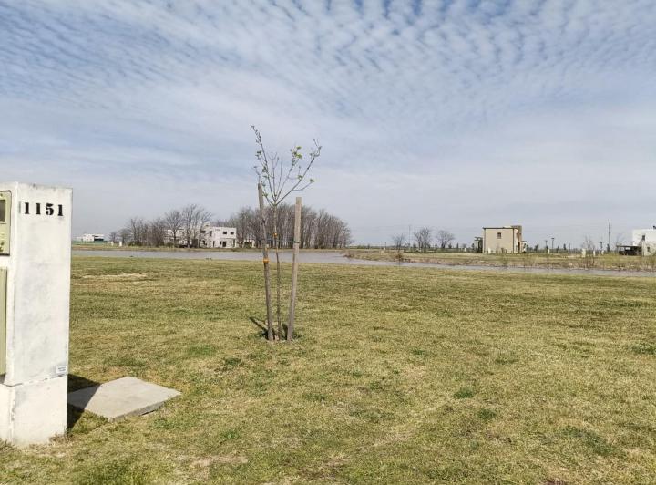 Terreno · 738m²