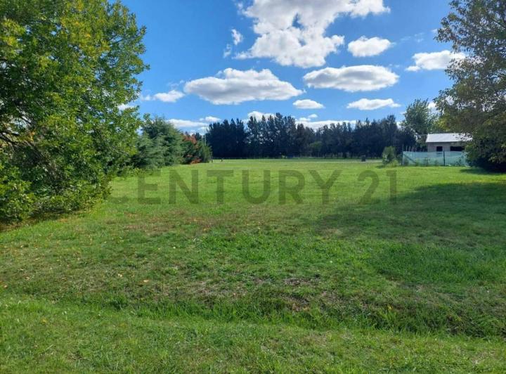 Terreno · 950m²