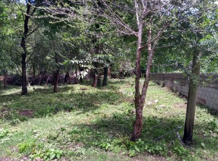 Terreno · 1043m²