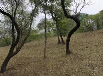 Terreno · 1050m² · Terreno con Vistas Unicas en Valle Hermoso, la Caldera