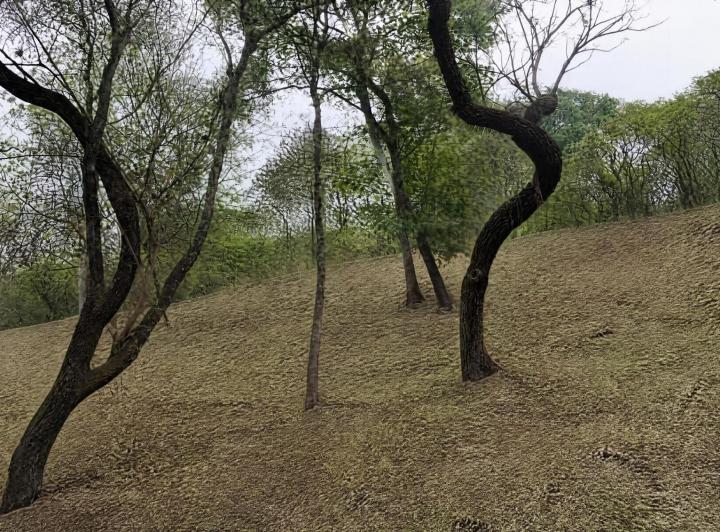 Terreno · 1050m²