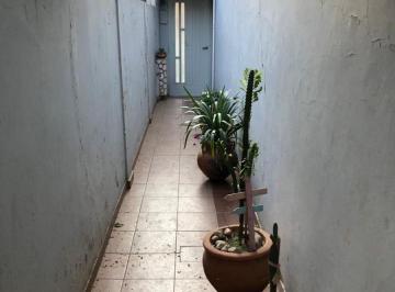Departamento de 3 ambientes, Rosario · Departamento de 45 m² con 2 Dorm. en Alquiler en Echesortu