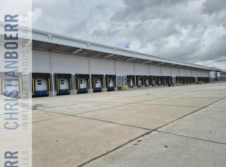 Bodega-Galpón · 10000m² · 1 Ambiente