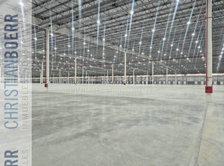 Bodega-Galpón · 10000m² · 1 Ambiente