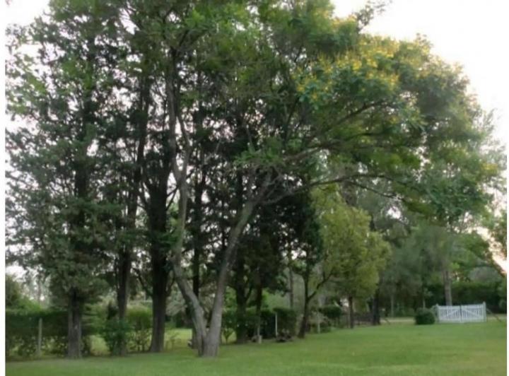 Terreno · 425m²