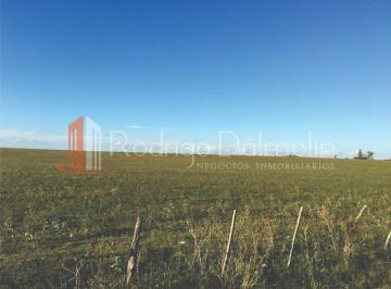 Terreno · 820000m² · 1 Ambiente · Vendo. 82 Hectáreas en Los Charrúas. Entre Ríos.