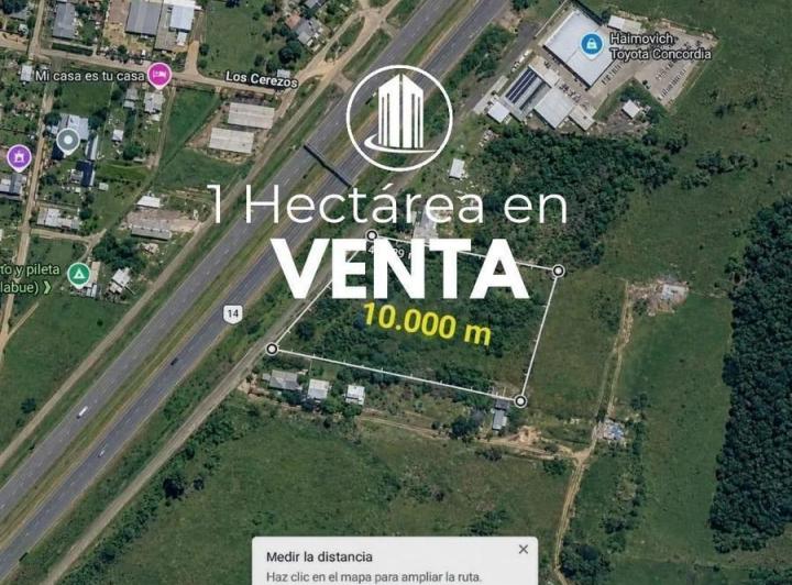 Terreno · 10000m² · 1 Ambiente