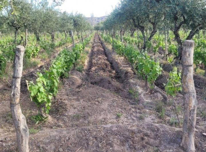 Terreno en venta en Ranchos de La Merced