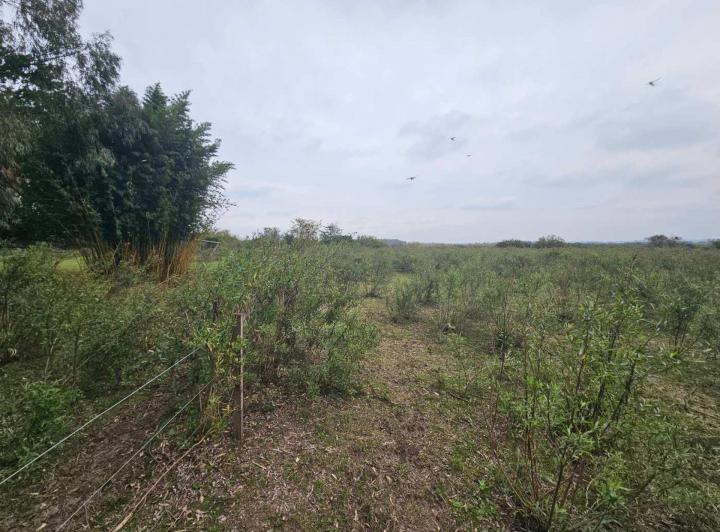 Terreno · 4963m²