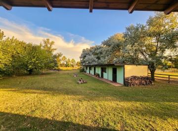Campo · 1830m² · 5 Dormitorios · Mr - 2094 | Importante Campo en Venta | Open Door | Lujan