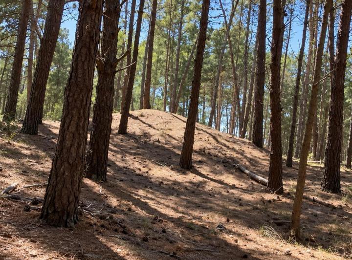Terreno · 895m²