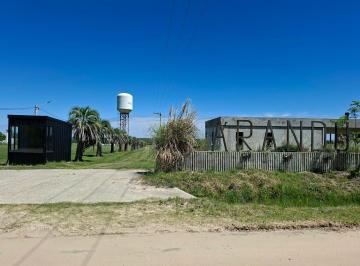 Terreno · 1001m² · Venta de 3 Lotes de Terreno en Arandú, Carolina