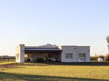Campo · 207m² · 5 Ambientes · Venta de Casa en Chacra de 1ha en Haras El Malacate, Naturaleza y Seguridad