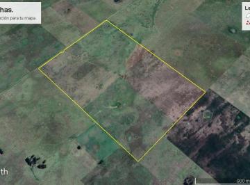 Campo · 172ha · Campo en Venta en Rauch